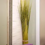 Apartamento Saga