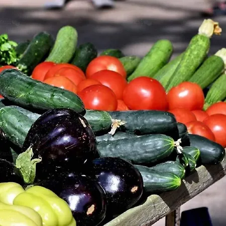 Saga דירה ספליט